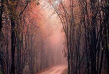 开云体育亚洲官网-瓦伦西亚主场惜败，法国联赛亟需强化主场战斗力的深度剖析