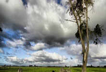 开云体育视频-斯洛伐克逆袭摩尔多瓦，展现夺冠实力晋级欧洲赛场