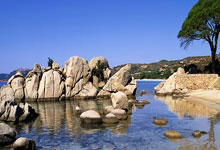 开云体育直播-曼城VS纽卡斯尔：胜负悬念背后的精彩对决