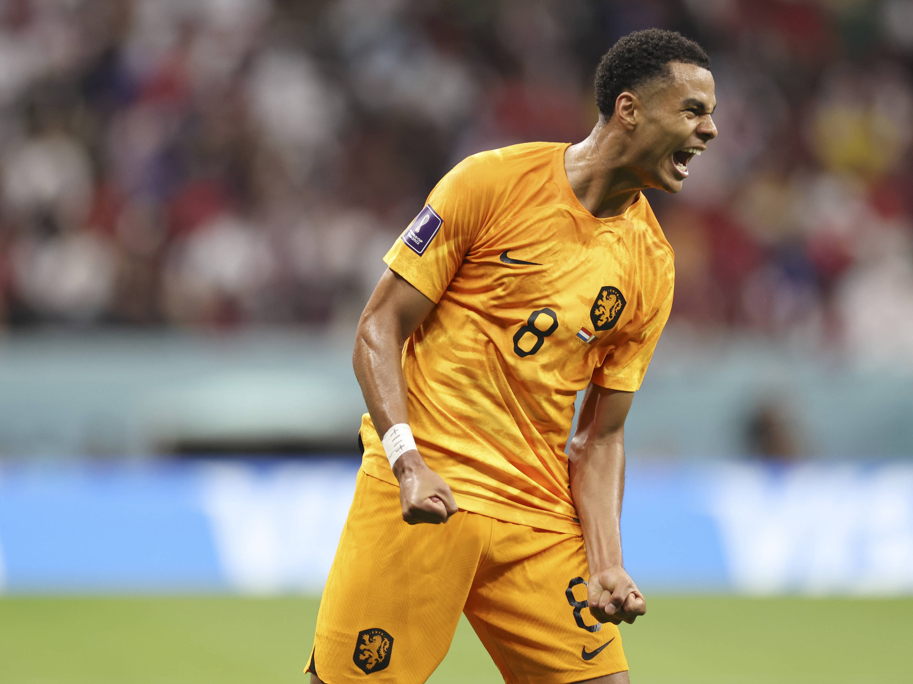 包含广州富力势不可挡,提升至积分榜榜首的词条 包含广州富力势不可挡,提升至积分榜榜首的词条